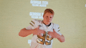 Georgia Tech Football Sport GIF by Georgia Tech Yellow Jackets