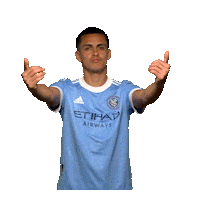 New York City Fc Reaction Sticker by NYCFC