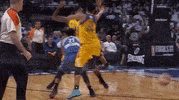 los angeles sparks basketball GIF by WNBA