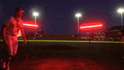 Baseball College GIF by Pearl River Athletics