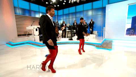 GIF by HARRY