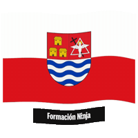 Comunidad Valenciana Flag Sticker by Formación Ninja