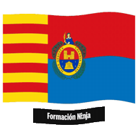 Comunidad Valenciana Flag Sticker by Formación Ninja