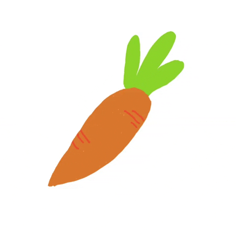 LilianAmanda green orange healthy rabbit GIF