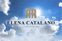 Cheers Wine GIF by Elena Catalano Vini