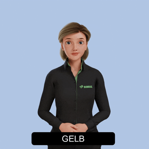 Avatar Gebärdensprache GIF by Sign Time - SiMAX