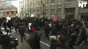 GIF by NowThis 