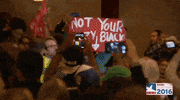 donald trump GIF