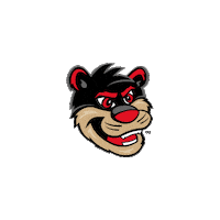 University Of Cincinnati College Sticker by uofcincy