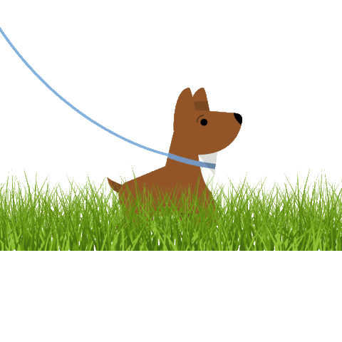 Tierischer_Urlaub giphyupload hund gassi reisenmithund Sticker