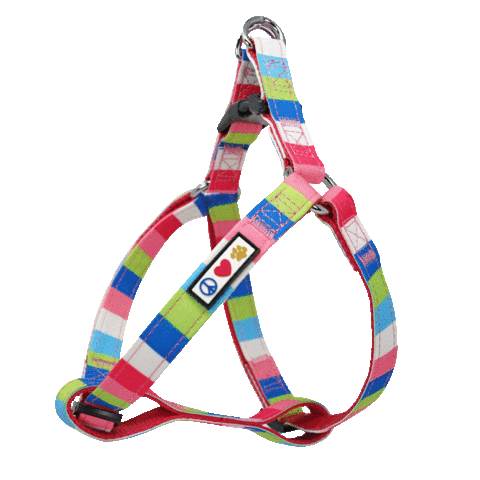 Happy Dog Sticker by Pawtitas