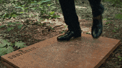 Express Yourself Dancing GIF by PBS
