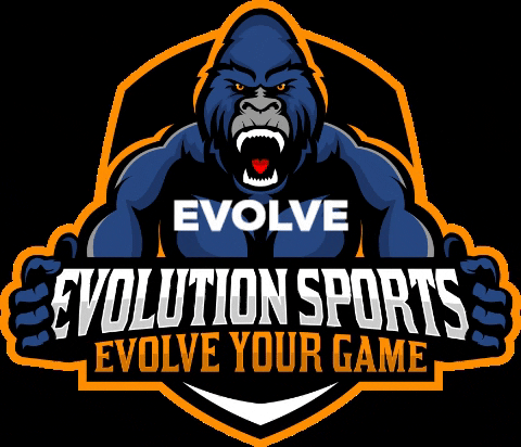 evolutionsports giphygifmaker sport cricket evolve your game GIF