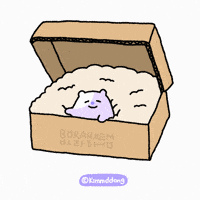 Good Morning Hello GIF