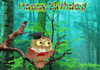 Owls Expressions GIF