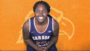 Cnwb19 GIF by Carson-Newman Athletics