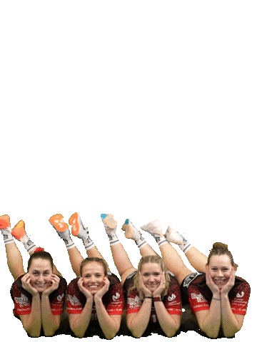 Volleyball Svf Sticker by Rotes Rudel