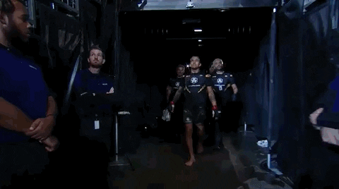 Mixed Martial Arts Fighting GIF by UFC