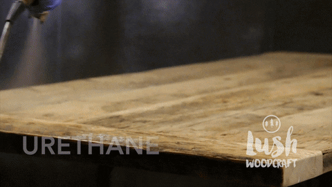 jennicolaes giphyupload GIF