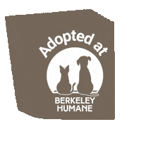 Adoptdontshop Sticker by Berkeley Humane