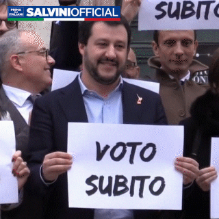 MatteoSalviniFan giphyupload salvini salvinigif salviniofficial GIF