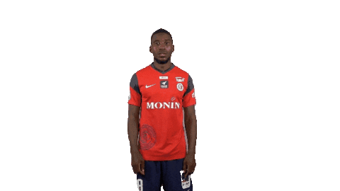 Football Ferris Sticker by La Berrichonne de Châteauroux