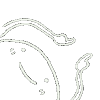 Tap Here Sticker