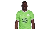 Jerome Roussillon Hello Sticker by VfL Wolfsburg