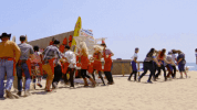 masterchef food cooking masterchef foxtv GIF