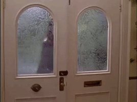 season 1 netflix GIF by Gilmore Girls 