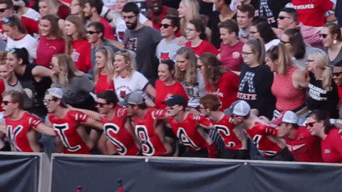 Lock It Up Red Wolves GIF by Arkansas State Athletics