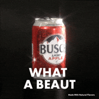 Sponsored gif. Can of Busch Light beer in the apple flavor rotates in place slowly. Its dewy exterior shines in the light. Text reads, “What a beaut.”