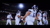 College Football Kicker GIF by Northwestern Athletics
