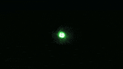 Masl GIF by Dallas Sidekicks