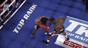 toprank fight boxing fighting espn GIF
