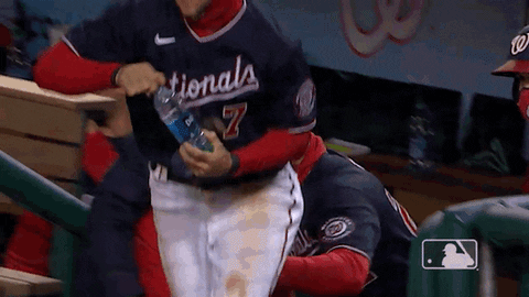 Regular Season Win GIF by MLB