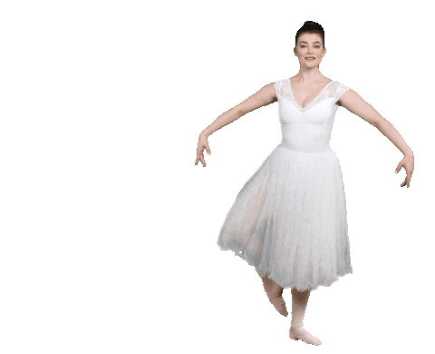 Ballet Sticker by STEEZY Studio