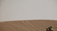 GIF by 20th Century Fox Home Entertainment