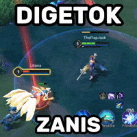 riskidimasputra aov arenaofvalor zanis GIF
