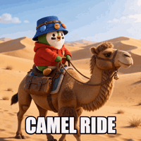 Camel Ride Travel GIF by ZaddyFi