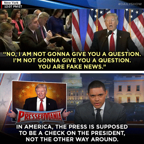 donald trump GIF by The Daily Show with Trevor Noah