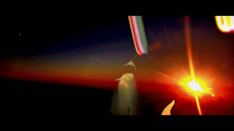 I Am Here Dance GIF by Topshelf Records