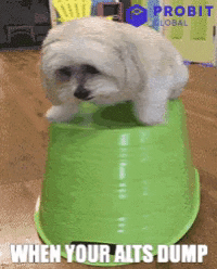 Nervous Dog GIF by ProBit Global