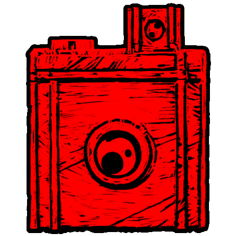 red dead redemption 2 camera Sticker by Rockstar Games