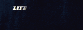 life of the party GIF by ALL TIME LOW