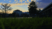 Monroe La College GIF by University of Louisiana Monroe