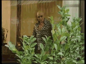 MalePatternBoldness giphyupload sad vintage alone GIF