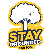 Staygrounded Sticker by CARSOMEMY
