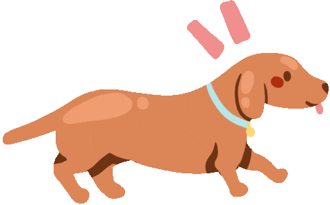 Sausage Dog Sticker