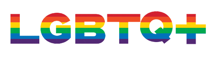 gay lgbt Sticker by LlevoTuLuz